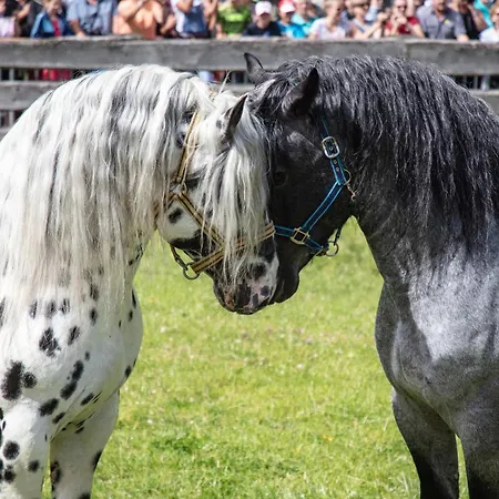 Apartmán Hochalmbahnen 13w1, Ulme, Nahe Gondel, Hunde Willkommen *